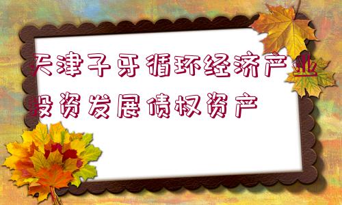 天津子牙循環(huán)經(jīng)濟產(chǎn)業(yè)投資發(fā)展債權(quán)資產(chǎn)