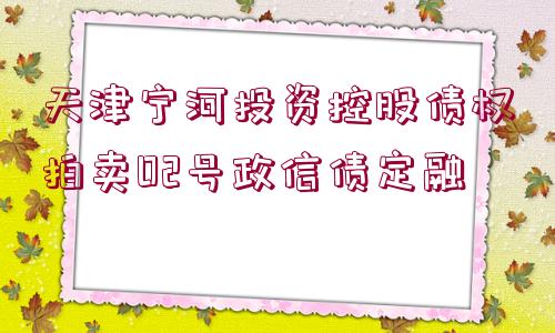 天津寧河投資控股債權拍賣02號政信債定融