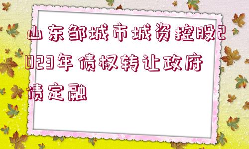 山東鄒城市城資控股2023年債權(quán)轉(zhuǎn)讓政府債定融