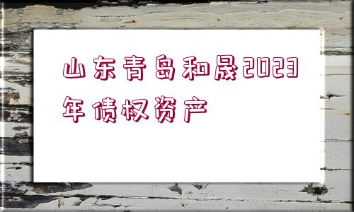 山東青島和晟2023年債權(quán)資產(chǎn)