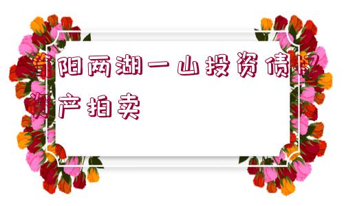 簡(jiǎn)陽(yáng)兩湖一山投資債權(quán)資產(chǎn)拍賣(mài)