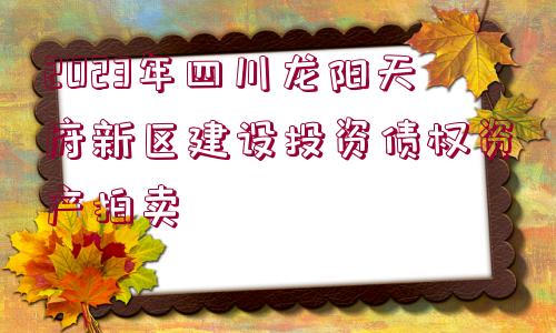 2023年四川龍陽天府新區(qū)建設(shè)投資債權(quán)資產(chǎn)拍賣