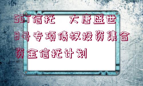 SGT信托?大唐盛世8號(hào)專項(xiàng)債權(quán)投資集合資金信托計(jì)劃