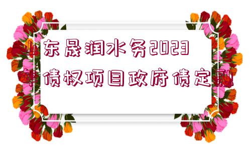 山東晟潤水務(wù)2023年債權(quán)項(xiàng)目政府債定融