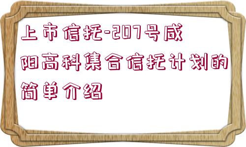 上市信托-207號咸陽高科集合信托計劃的簡單介紹