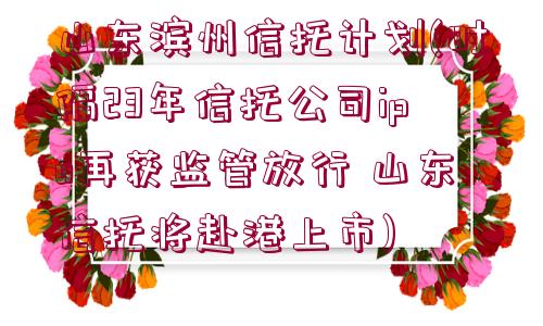 山東濱州信托計(jì)劃(時隔23年信托公司ipo再獲監(jiān)管放行 山東信托將赴港上市)