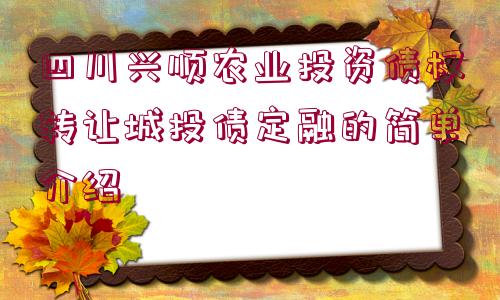 四川興順農(nóng)業(yè)投資債權(quán)轉(zhuǎn)讓城投債定融的簡單介紹