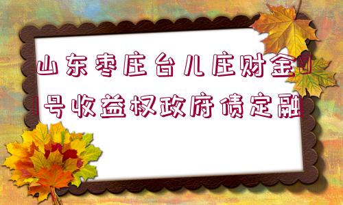 山東棗莊臺兒莊財金01號收益權(quán)政府債定融