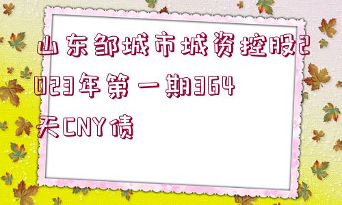 山東鄒城市城資控股2023年第一期364天CNY債