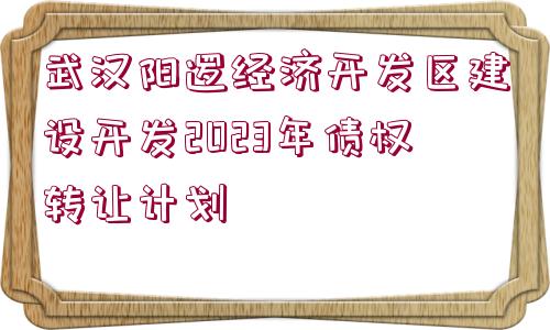 武漢陽邏經(jīng)濟開發(fā)區(qū)建設開發(fā)2023年債權轉讓計劃