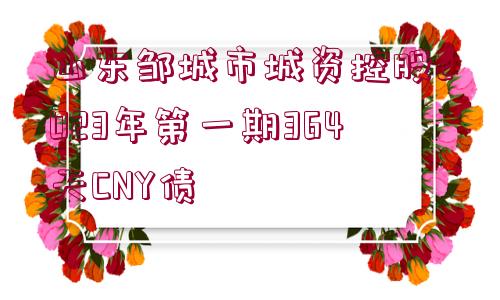 山東鄒城市城資控股2023年第一期364天CNY債