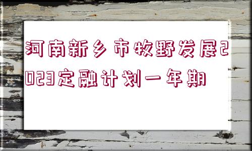 河南新鄉(xiāng)市牧野發(fā)展2023定融計(jì)劃一年期