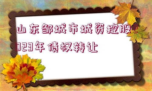 山東鄒城市城資控股2023年債權(quán)轉(zhuǎn)讓