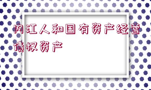 內江人和國有資產經營債權資產