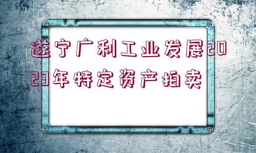 遂寧廣利工業(yè)發(fā)展2023年特定資產拍賣