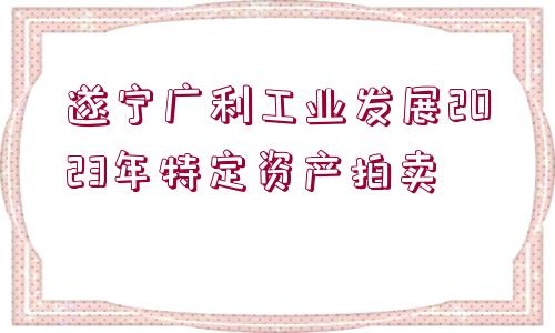 遂寧廣利工業(yè)發(fā)展2023年特定資產(chǎn)拍賣