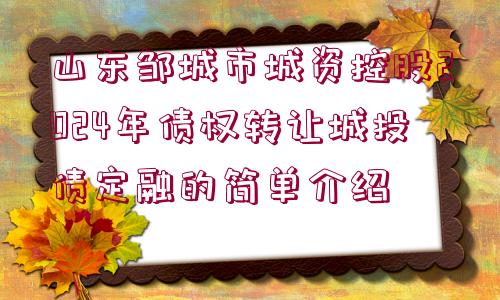 山東鄒城市城資控股2024年債權(quán)轉(zhuǎn)讓城投債定融的簡(jiǎn)單介紹