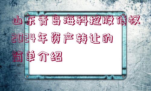 山東青島?？瓶毓蓚鶛?quán)2024年資產(chǎn)轉(zhuǎn)讓的簡單介紹