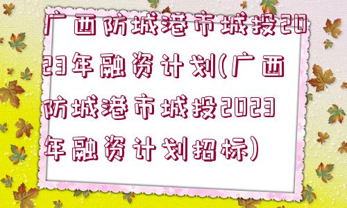 廣西防城港市城投2023年融資計(jì)劃(廣西防城港市城投2023年融資計(jì)劃招標(biāo))