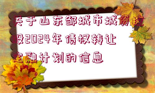 關(guān)于山東鄒城市城資控股2024年債權(quán)轉(zhuǎn)讓定融計劃的信息