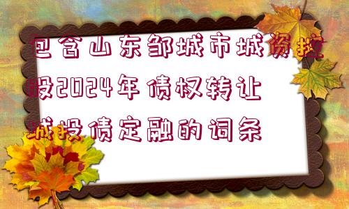 包含山東鄒城市城資控股2024年債權轉讓城投債定融的詞條