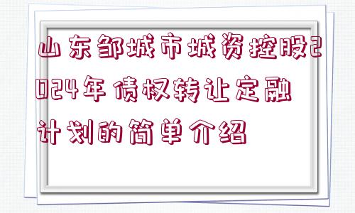 山東鄒城市城資控股2024年債權(quán)轉(zhuǎn)讓定融計(jì)劃的簡(jiǎn)單介紹