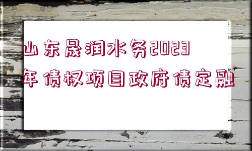 山東晟潤水務(wù)2023年債權(quán)項目政府債定融