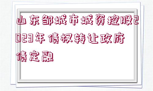 山東鄒城市城資控股2023年債權(quán)轉(zhuǎn)讓政府債定融