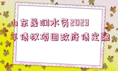 山東晟潤水務(wù)2023年債權(quán)項(xiàng)目政府債定融