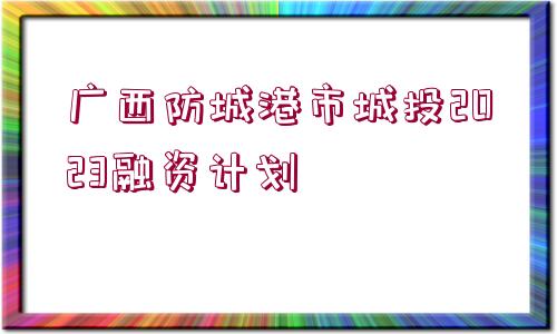 廣西防城港市城投2023融資計劃