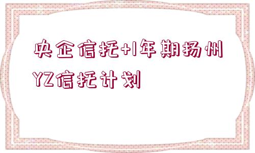 央企信托+1年期揚(yáng)州YZ信托計(jì)劃