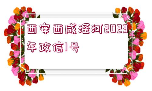 西安西咸涇河2023年政信1號