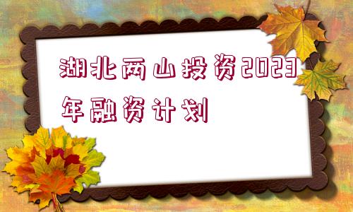 湖北兩山投資2023年融資計劃