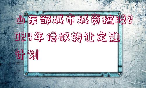 山東鄒城市城資控股2024年債權(quán)轉(zhuǎn)讓定融計(jì)劃