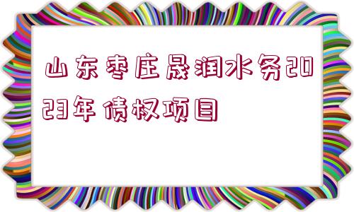 山東棗莊晟潤(rùn)水務(wù)2023年債權(quán)項(xiàng)目