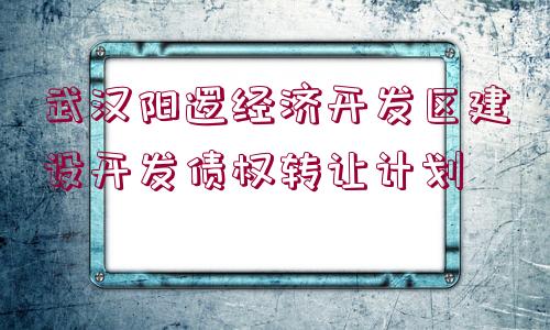 武漢陽邏經(jīng)濟開發(fā)區(qū)建設(shè)開發(fā)債權(quán)轉(zhuǎn)讓計劃