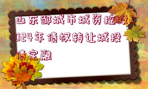 山東鄒城市城資控股2024年債權轉讓城投債定融