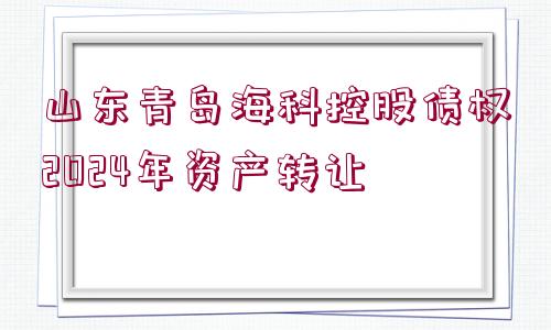 山東青島?？瓶毓蓚鶛?quán)2024年資產(chǎn)轉(zhuǎn)讓