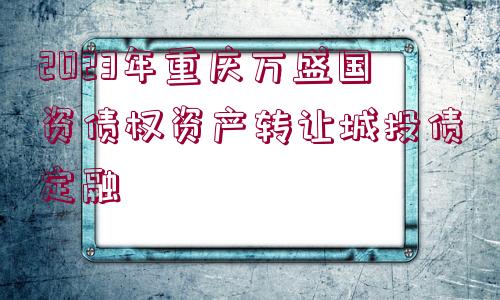 2023年重慶萬(wàn)盛國(guó)資債權(quán)資產(chǎn)轉(zhuǎn)讓城投債定融