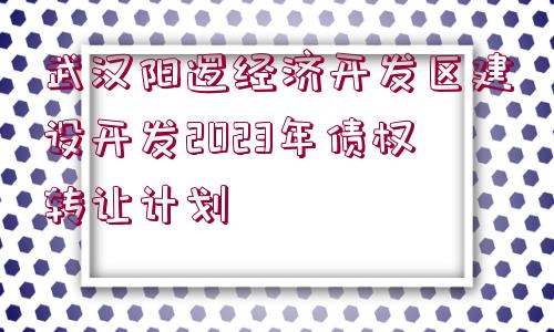 武漢陽邏經濟開發(fā)區(qū)建設開發(fā)2023年債權轉讓計劃