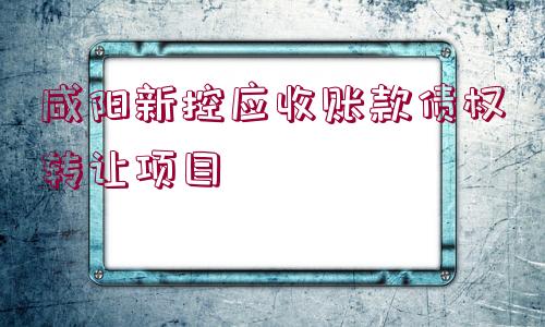 咸陽新控應收賬款債權(quán)轉(zhuǎn)讓項目