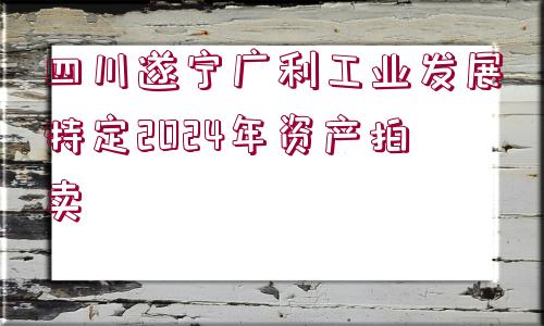 四川遂寧廣利工業(yè)發(fā)展特定2024年資產(chǎn)拍賣