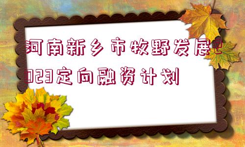 河南新鄉(xiāng)市牧野發(fā)展2023定向融資計劃