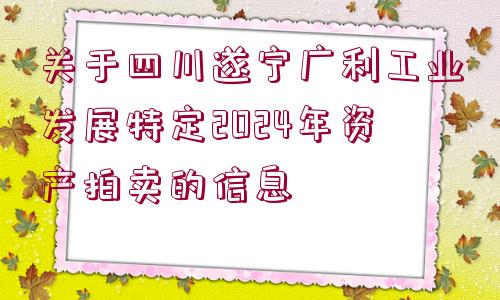 關于四川遂寧廣利工業(yè)發(fā)展特定2024年資產(chǎn)拍賣的信息