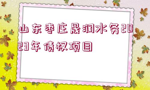 山東棗莊晟潤水務(wù)2023年債權(quán)項(xiàng)目