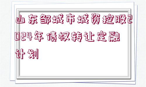 山東鄒城市城資控股2024年債權(quán)轉(zhuǎn)讓定融計劃