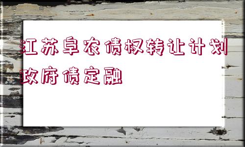 江蘇阜農(nóng)債權(quán)轉(zhuǎn)讓計(jì)劃政府債定融