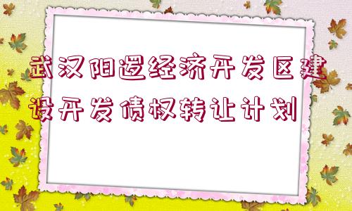 武漢陽(yáng)邏經(jīng)濟(jì)開發(fā)區(qū)建設(shè)開發(fā)債權(quán)轉(zhuǎn)讓計(jì)劃