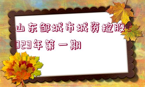 山東鄒城市城資控股2023年第一期