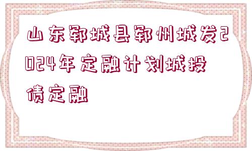 山東鄆城縣鄆州城發(fā)2024年定融計(jì)劃城投債定融